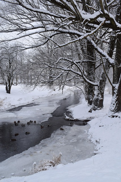 Hanwha LIFEPLUS International Crown 2025 วันที่ 4