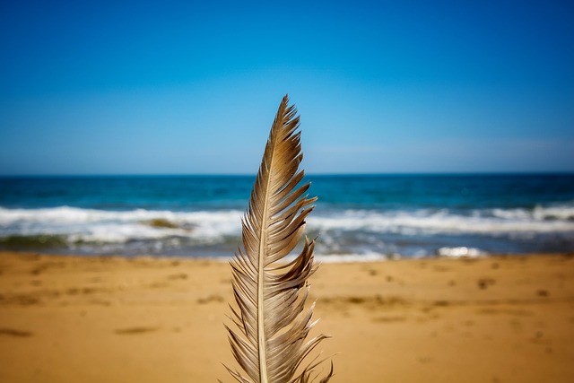 AT&T Pebble Beach Pro-Am 2026 วันที่ 4